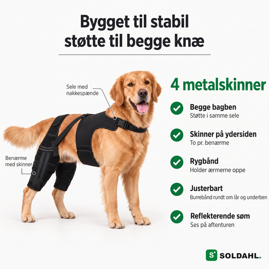 Lunkro knæbeskytter med sele, fire metalskinner og rygbånd forklaret