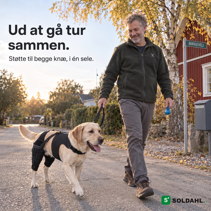 Mand går tur med labrador, der bærer Lunkro knæbeskytter, på en villavej