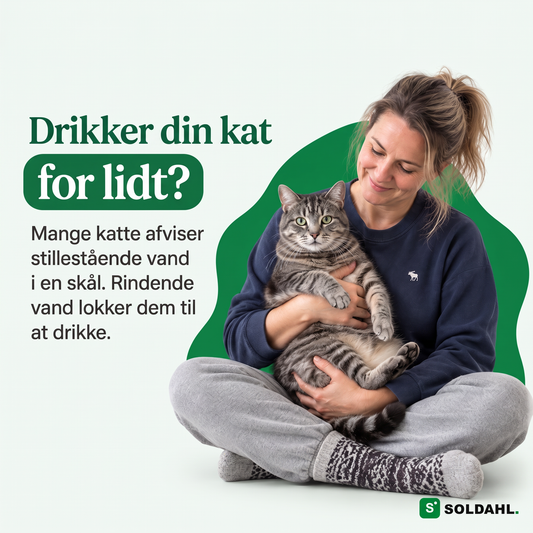 Kvinde holder sin kat, mange katte afviser stillestående vand