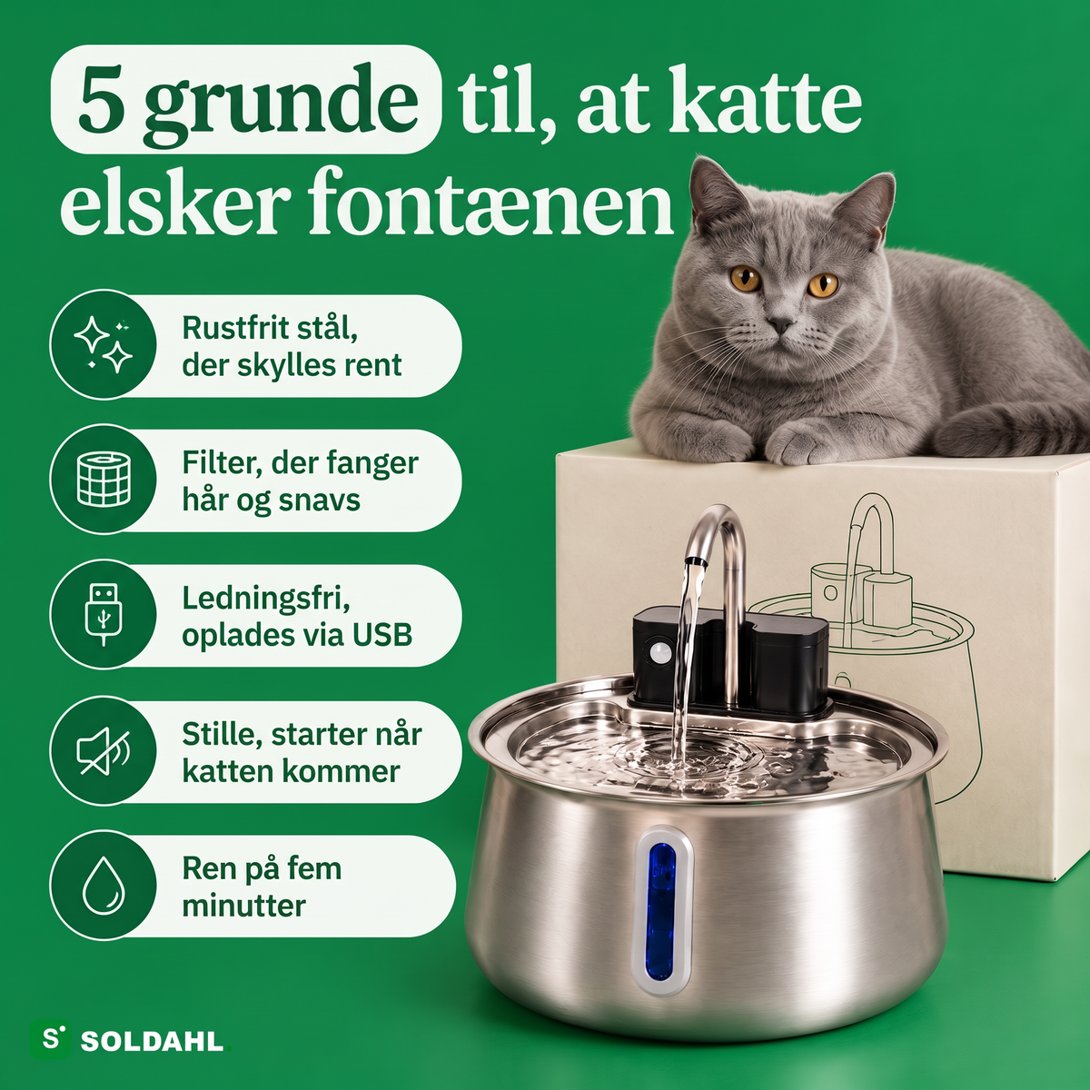 Fem grunde til, at katte elsker fontænen i rustfrit stål