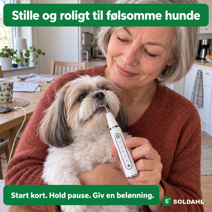 Kvinde holder en lille hund i favnen og bruger Tandro mod en tand